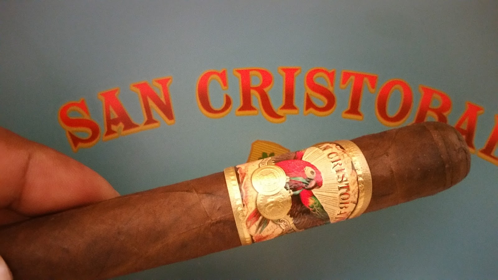 Blue Havana II Cigars & Gifts photo 8