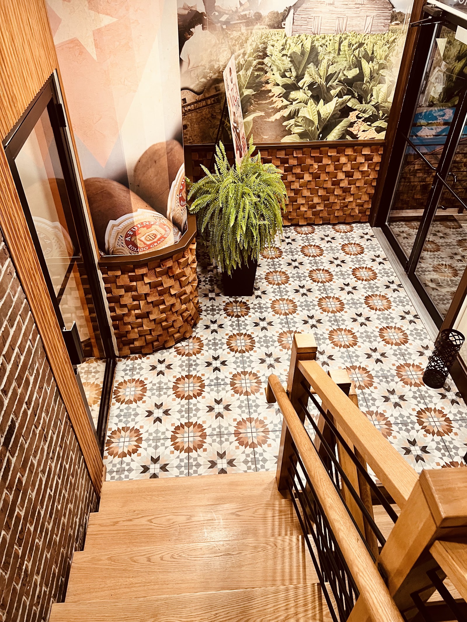 Casa del Tabaco (HQ) photo 9