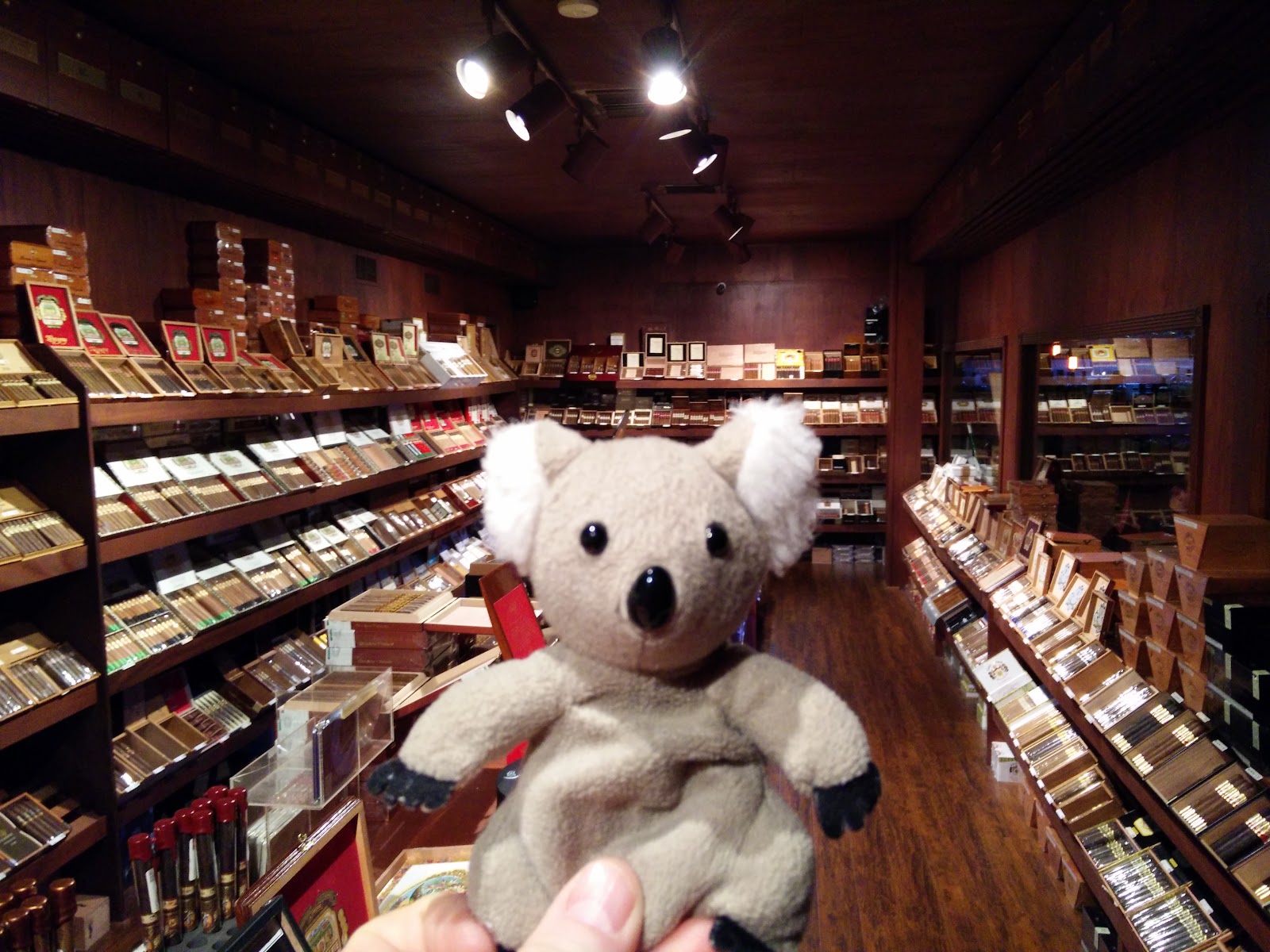Churchill's Fine Cigars - Phoenix (HQ) photo 8