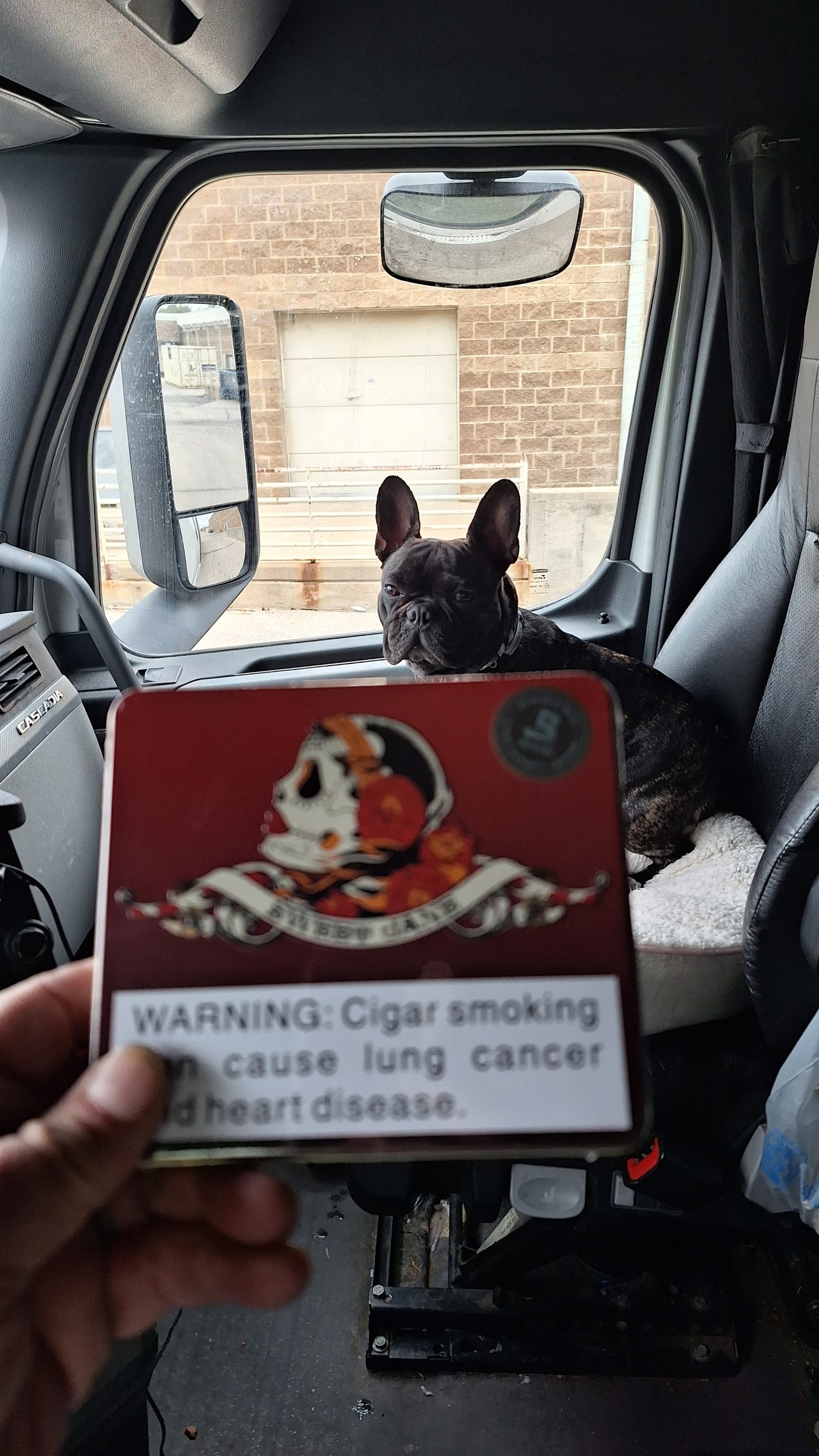 Cigar Chateau photo 10