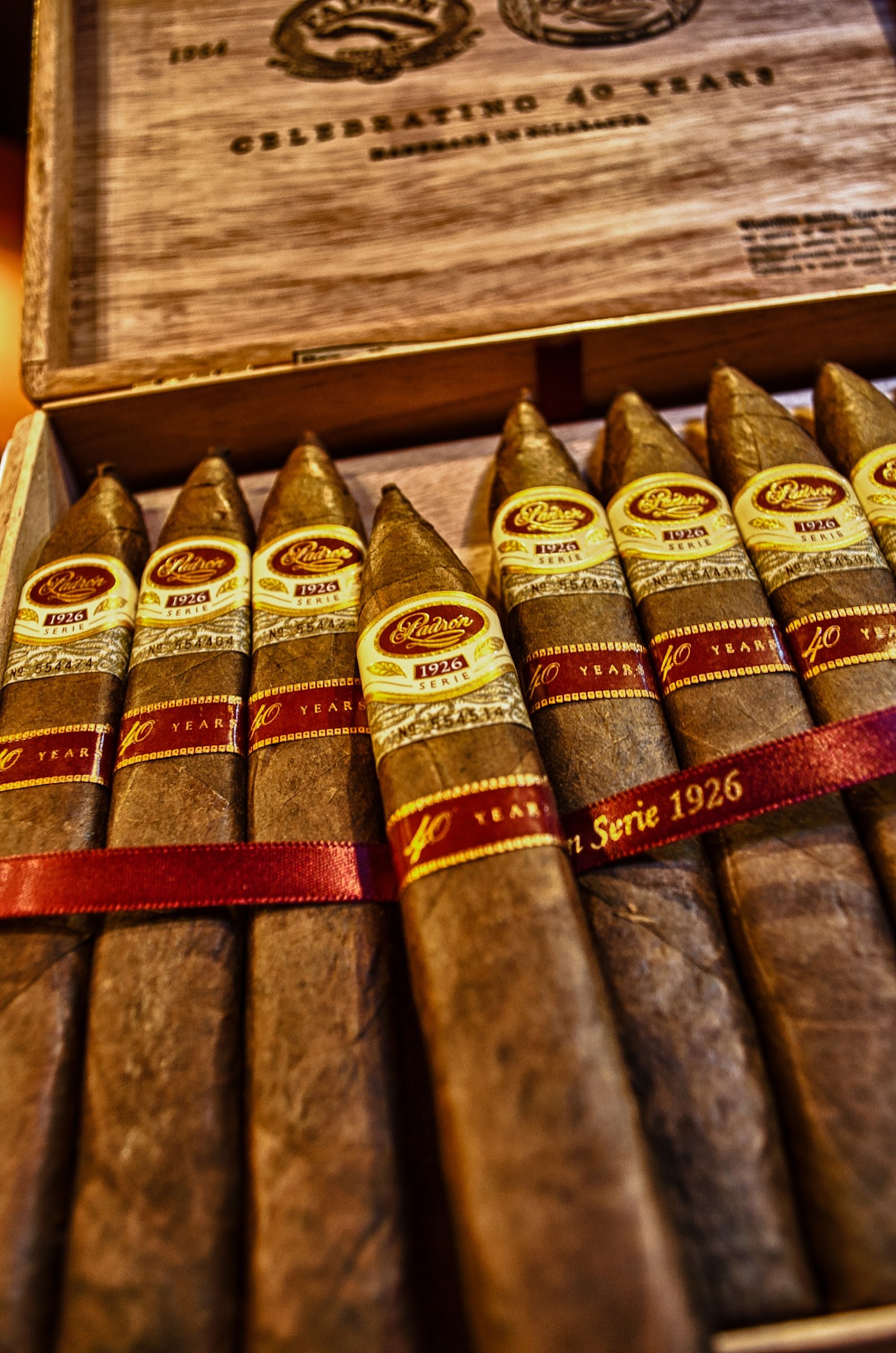 Cigar Pointe photo 4