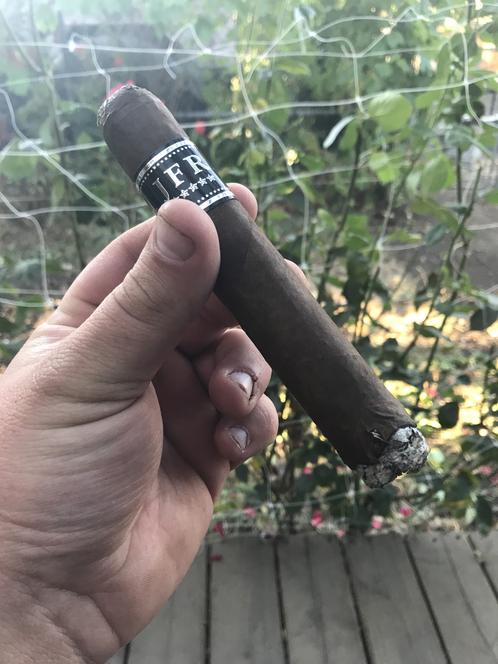 Cigars on 7th photo 7