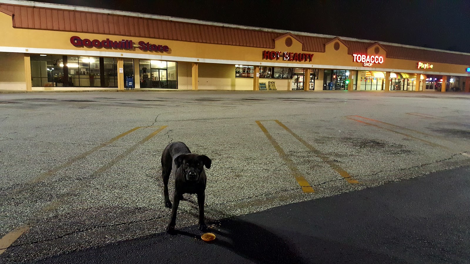 D and S Tobacco Shop LLC- Dothan, AL (HQ)