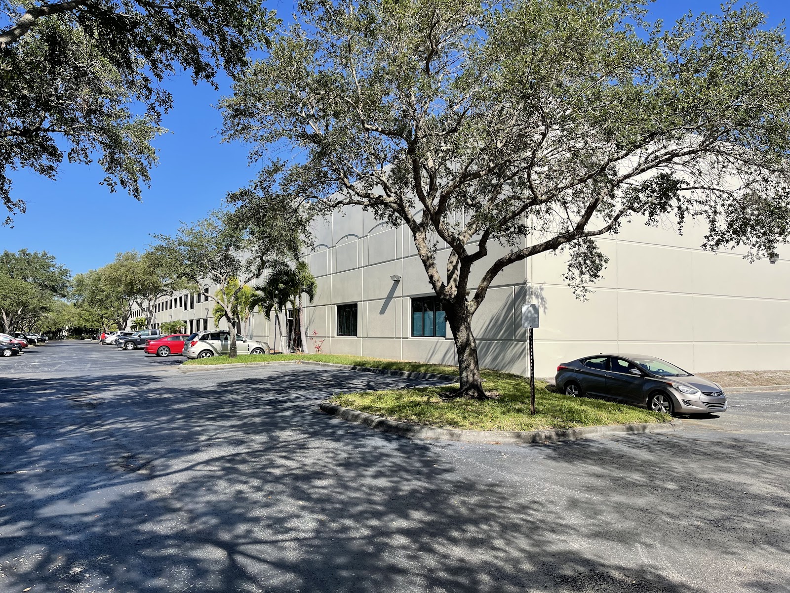 Davidoff of Geneva Since 1911 - Pinellas Park (HQ) photo 3