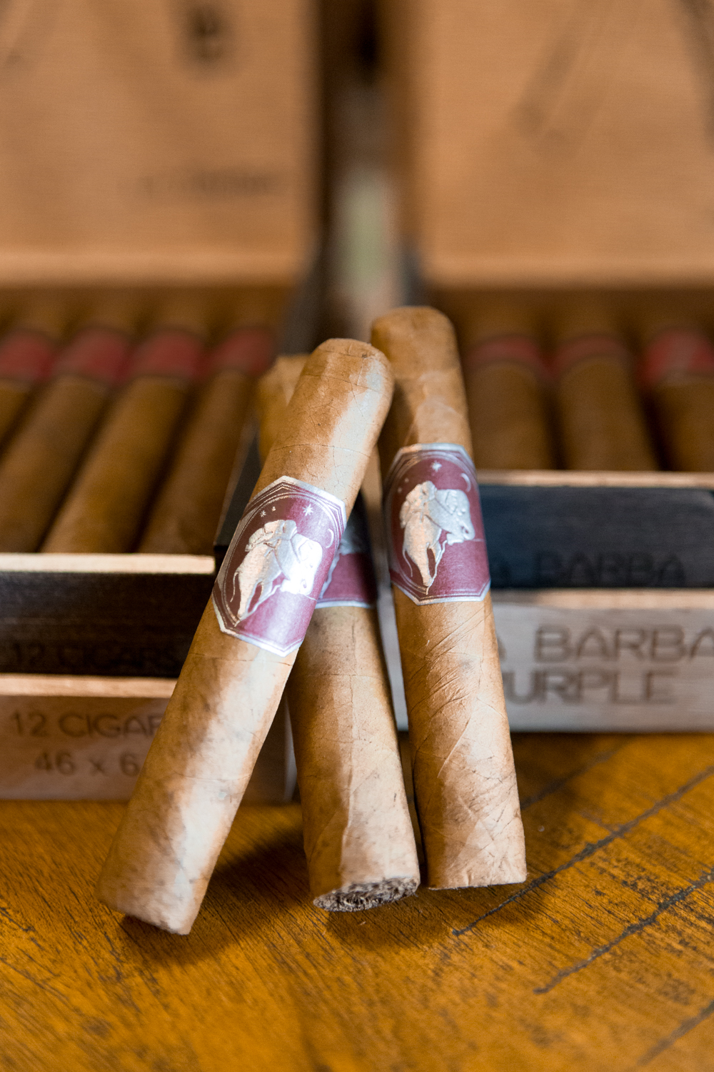 Havana House (HQ) photo 6