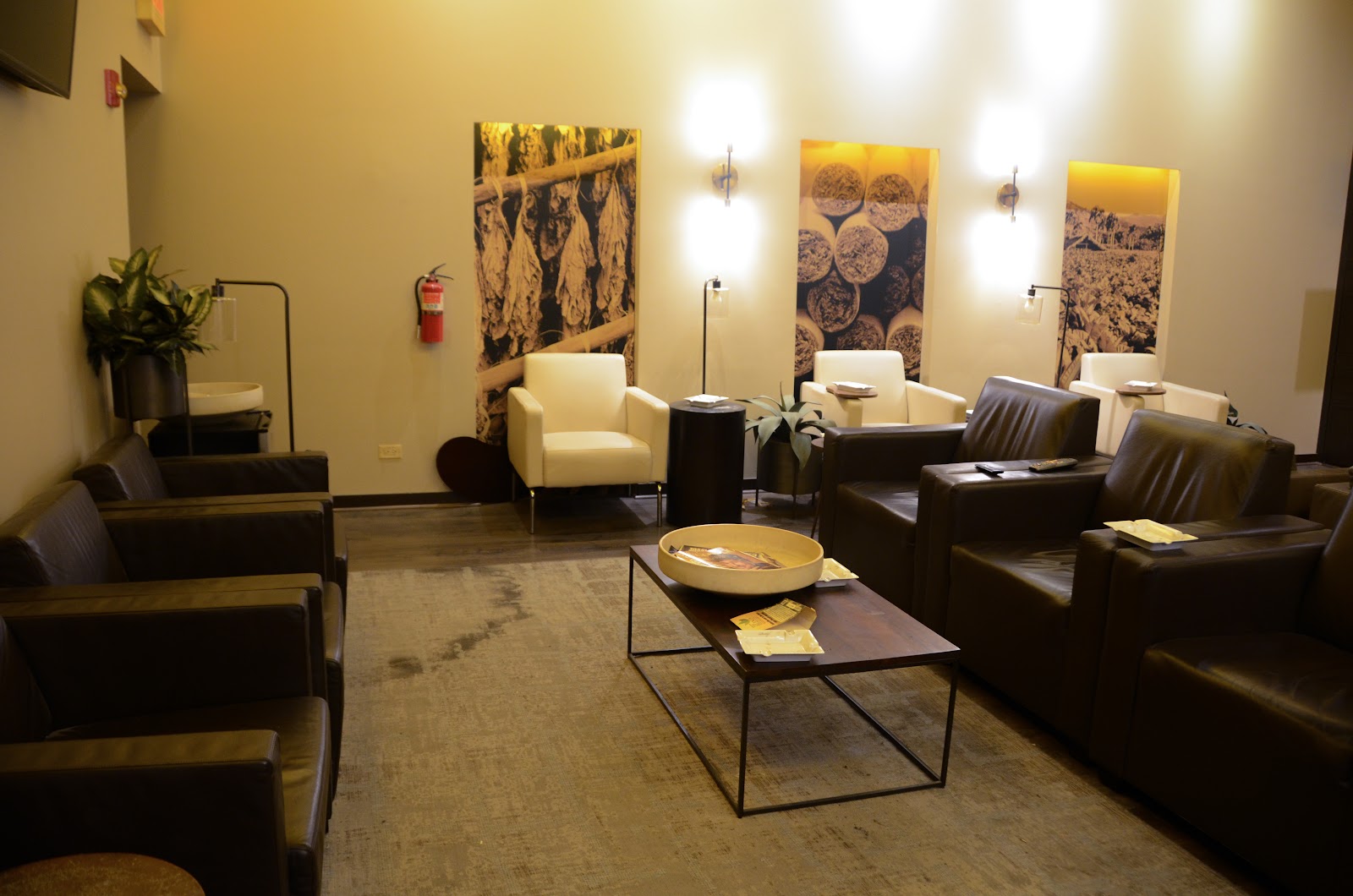 Humidor Cigar Lounge - Westmont (HQ) photo 8