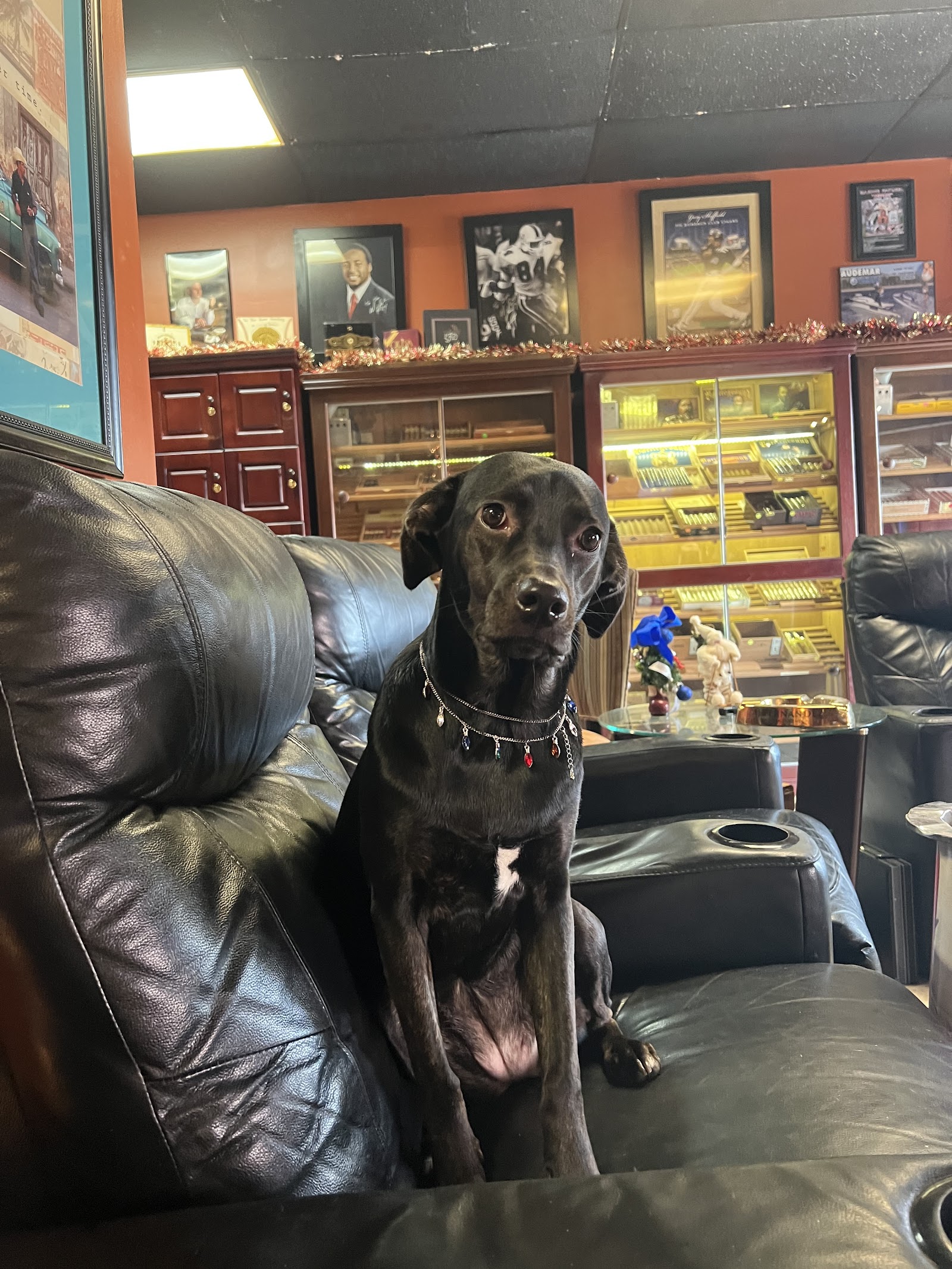 Jimmy's Cigar Lounge photo 4