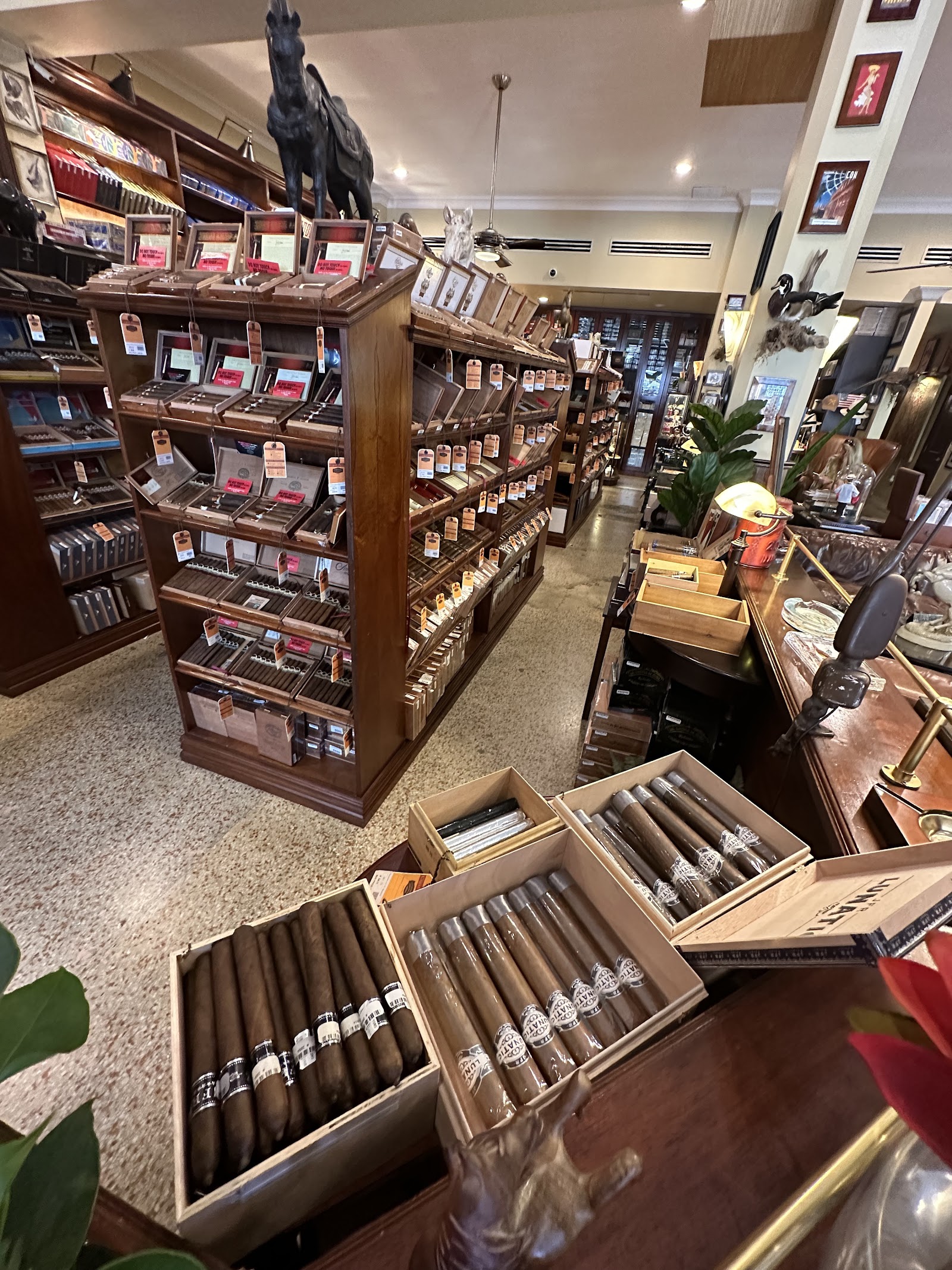 Little Havana Cigar Factory photo 2