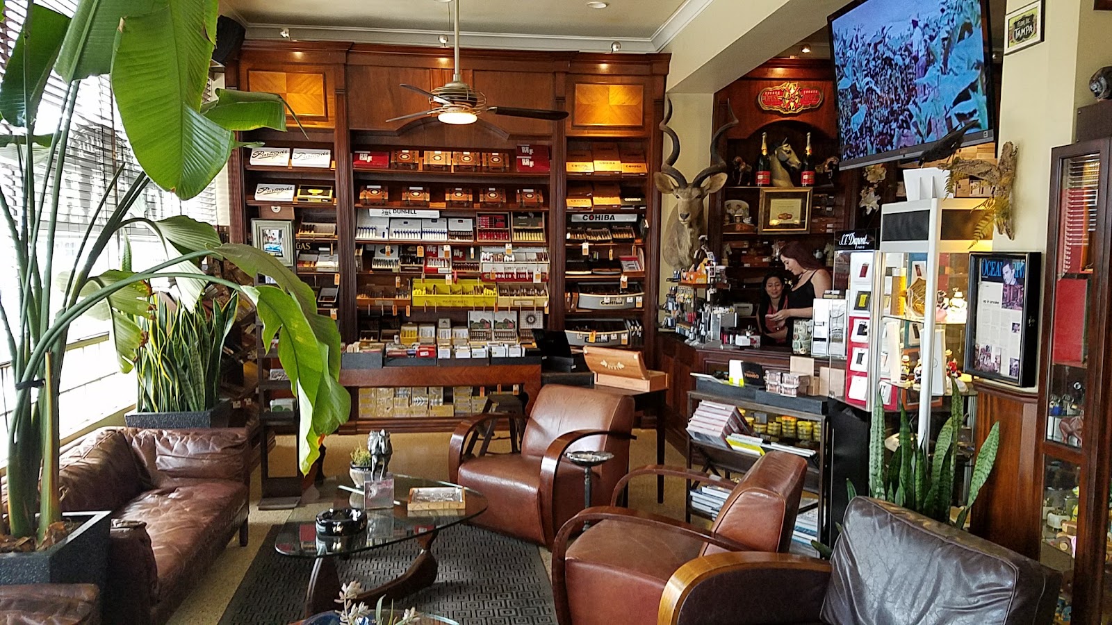 Little Havana Cigar Factory photo 4