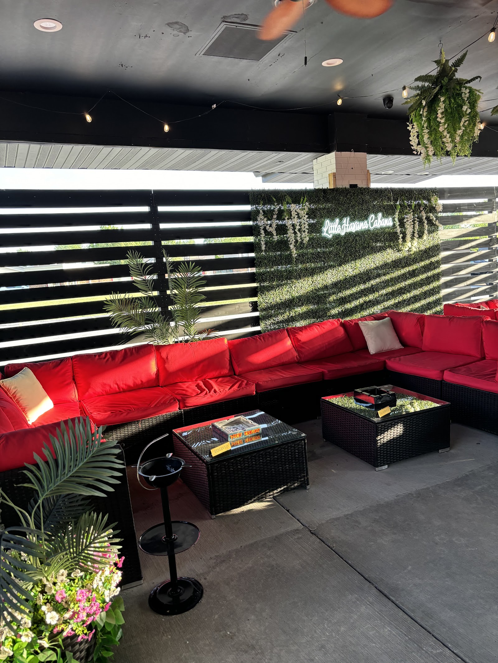 Little Havana Cigar Lounge photo 10