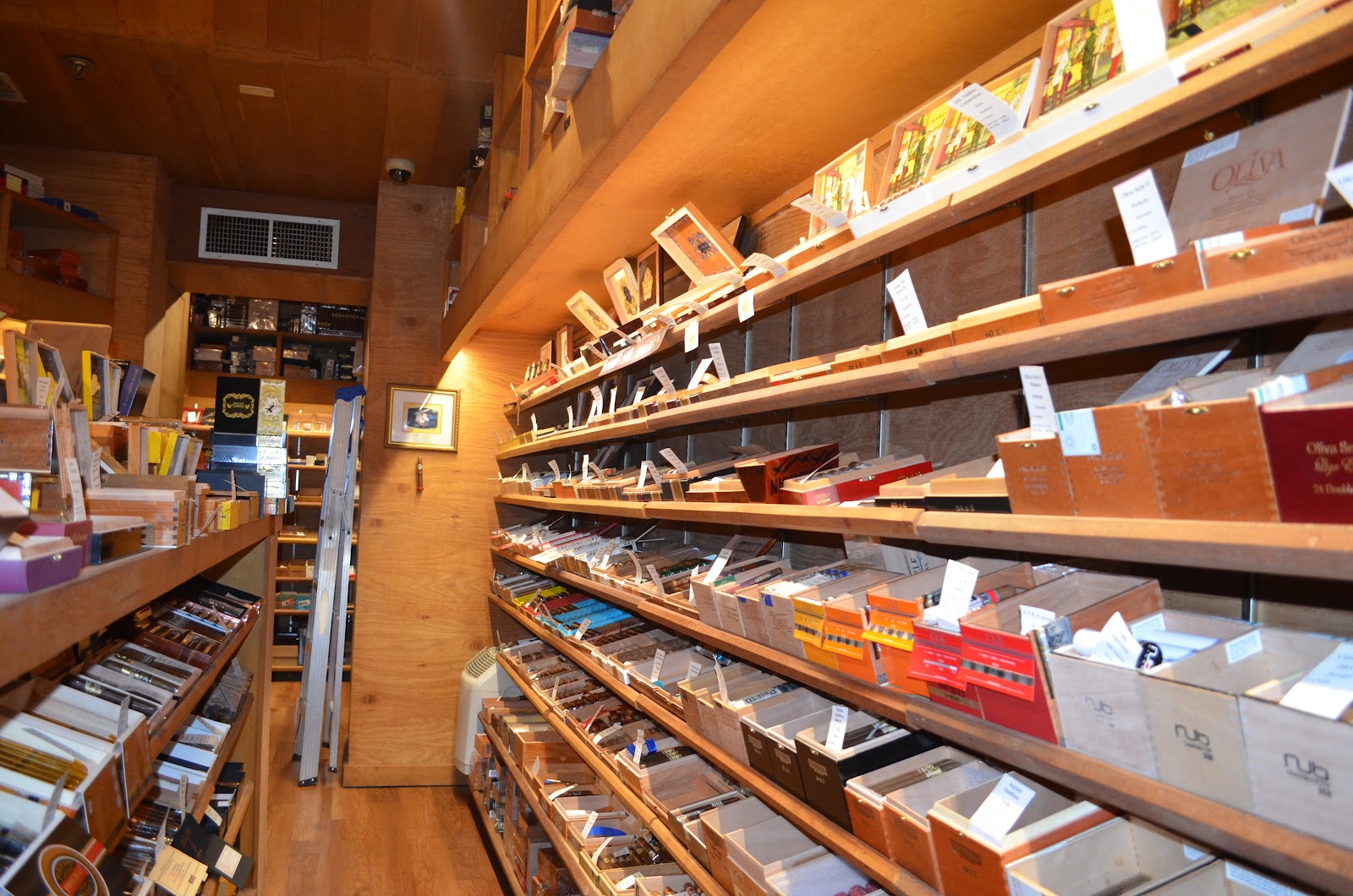 Mayan Import Co. - New Orleans (HQ) photo 5