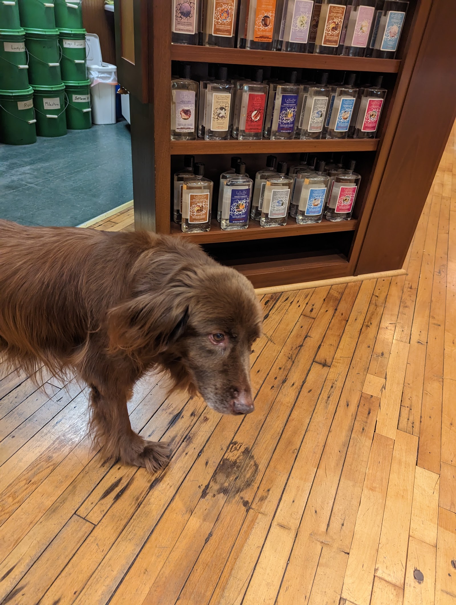 Milan Tobacconists, Inc. photo 8