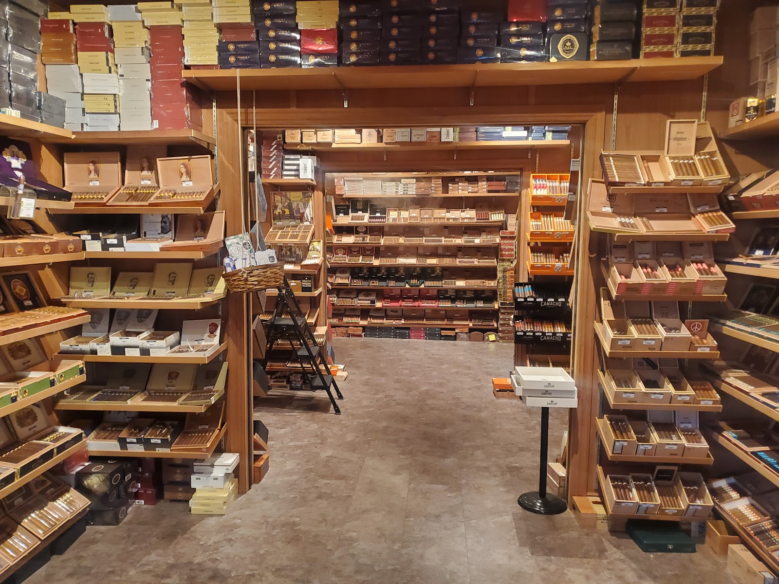 Robusto & Briar photo 3