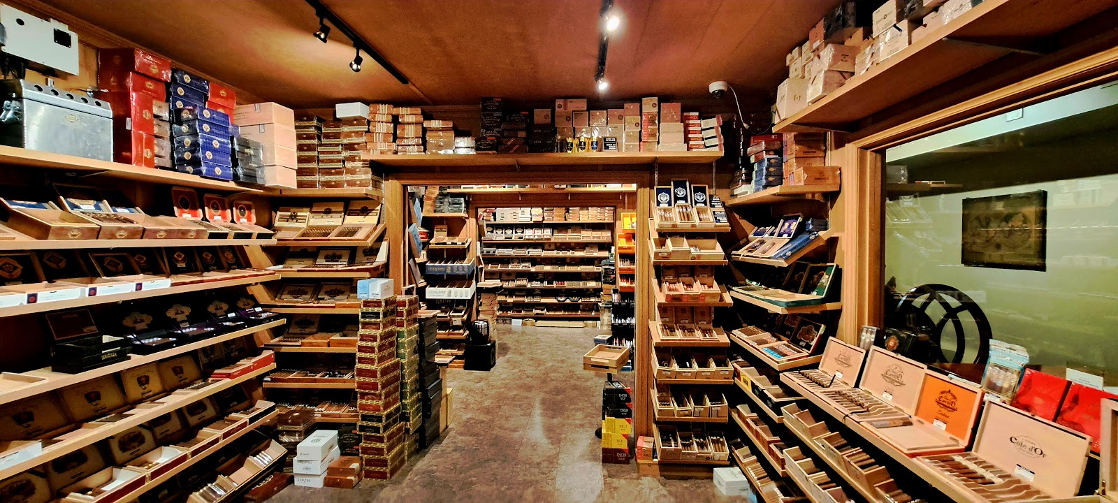Robusto & Briar photo 6