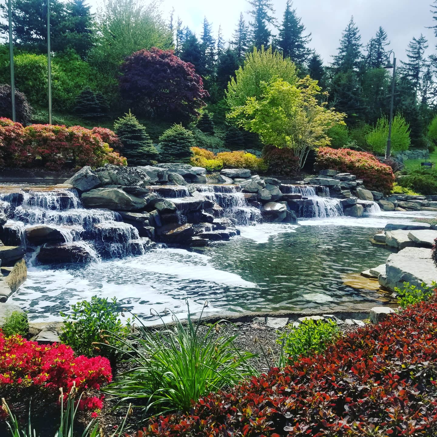 Snoqualmie Casino photo 9