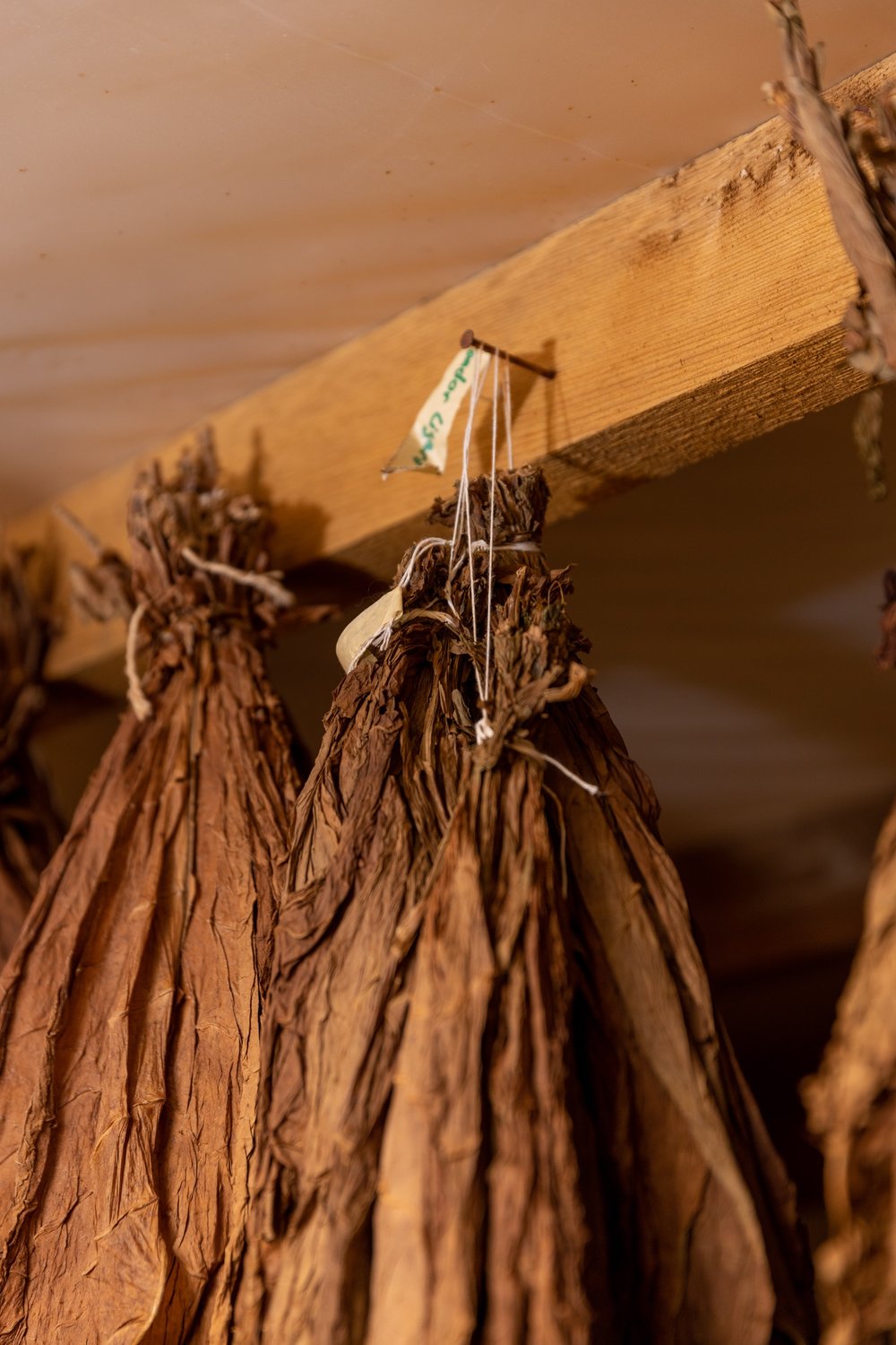 Ultimo Cigar Shop photo 7