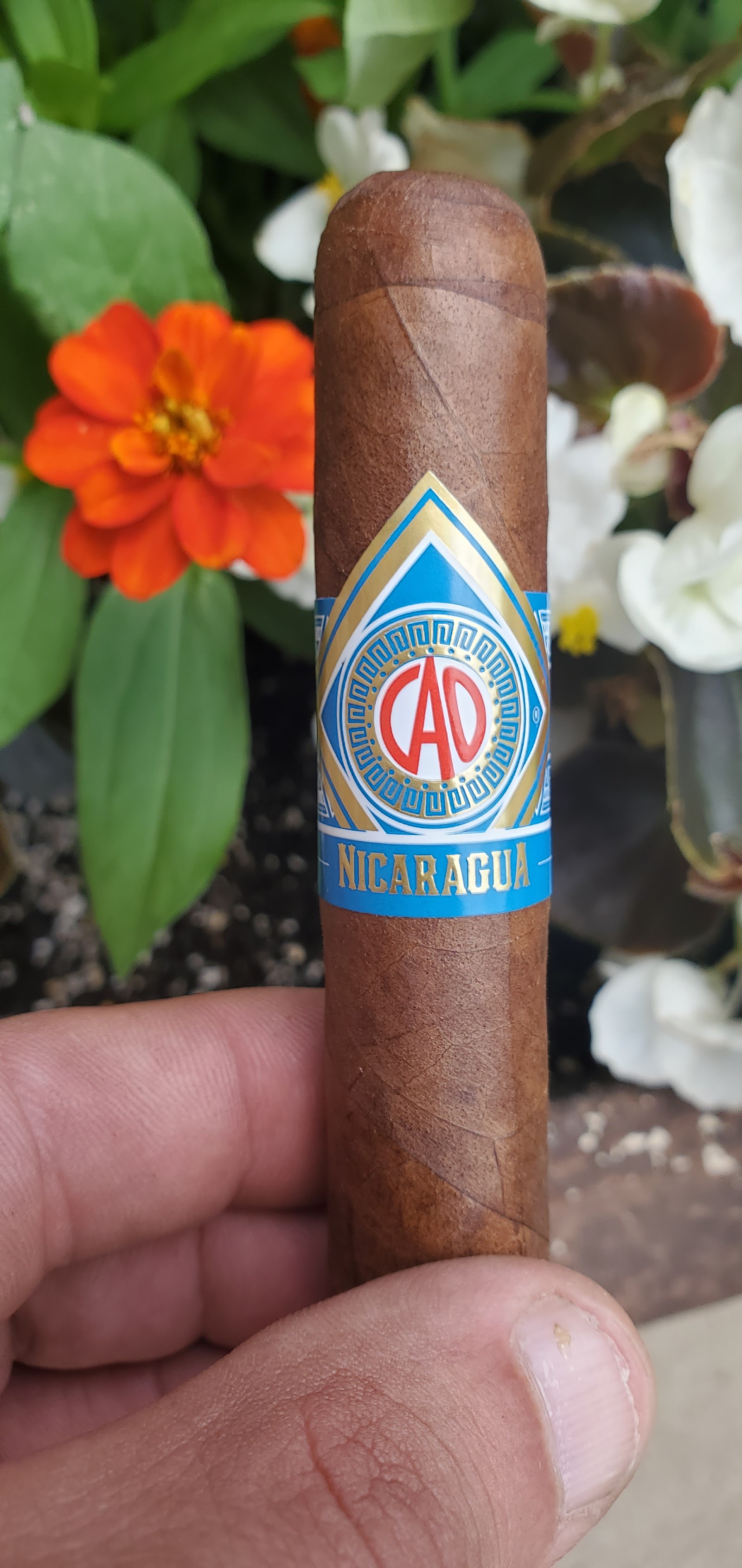 Verona News Cigars, Inc. photo 8