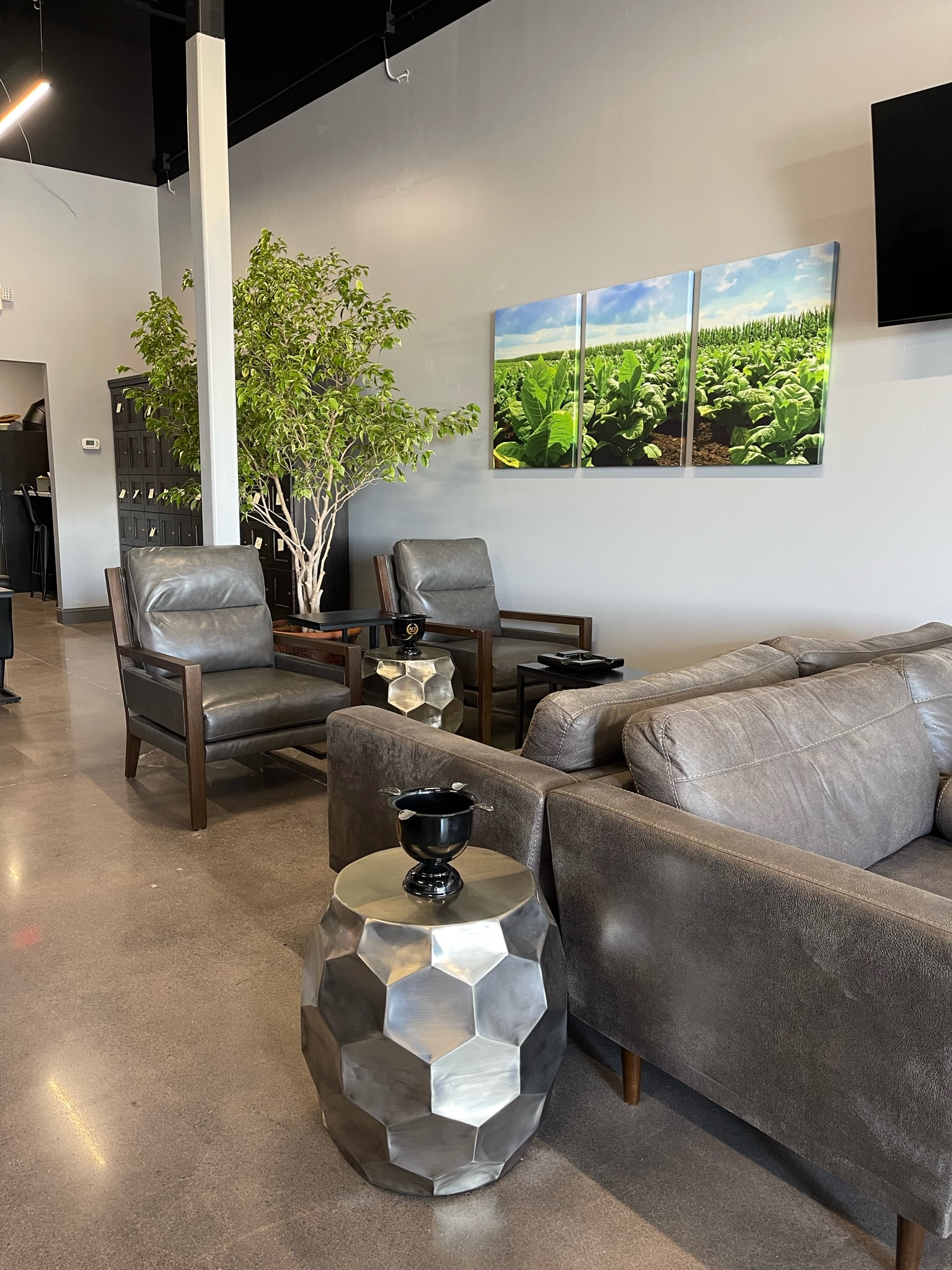 Viso Cigar Lounge photo 3