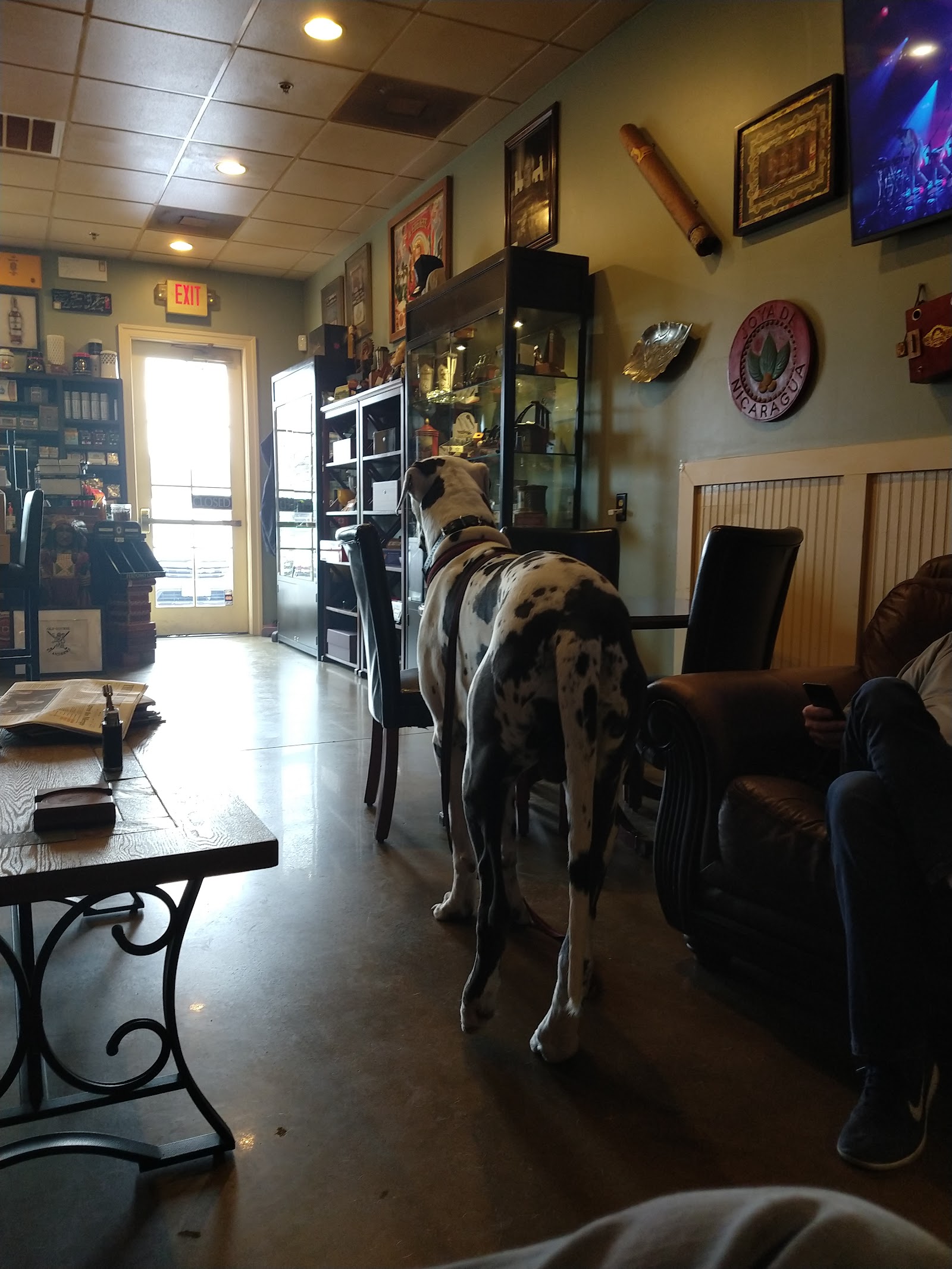 Winston's Humidor (HQ) photo 3