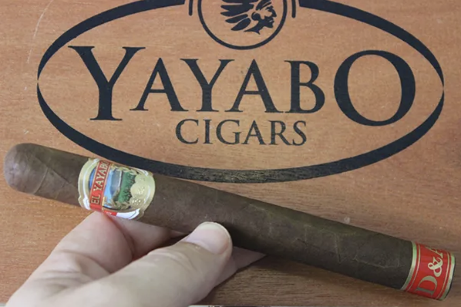 Yayabo Cigars Store photo 10